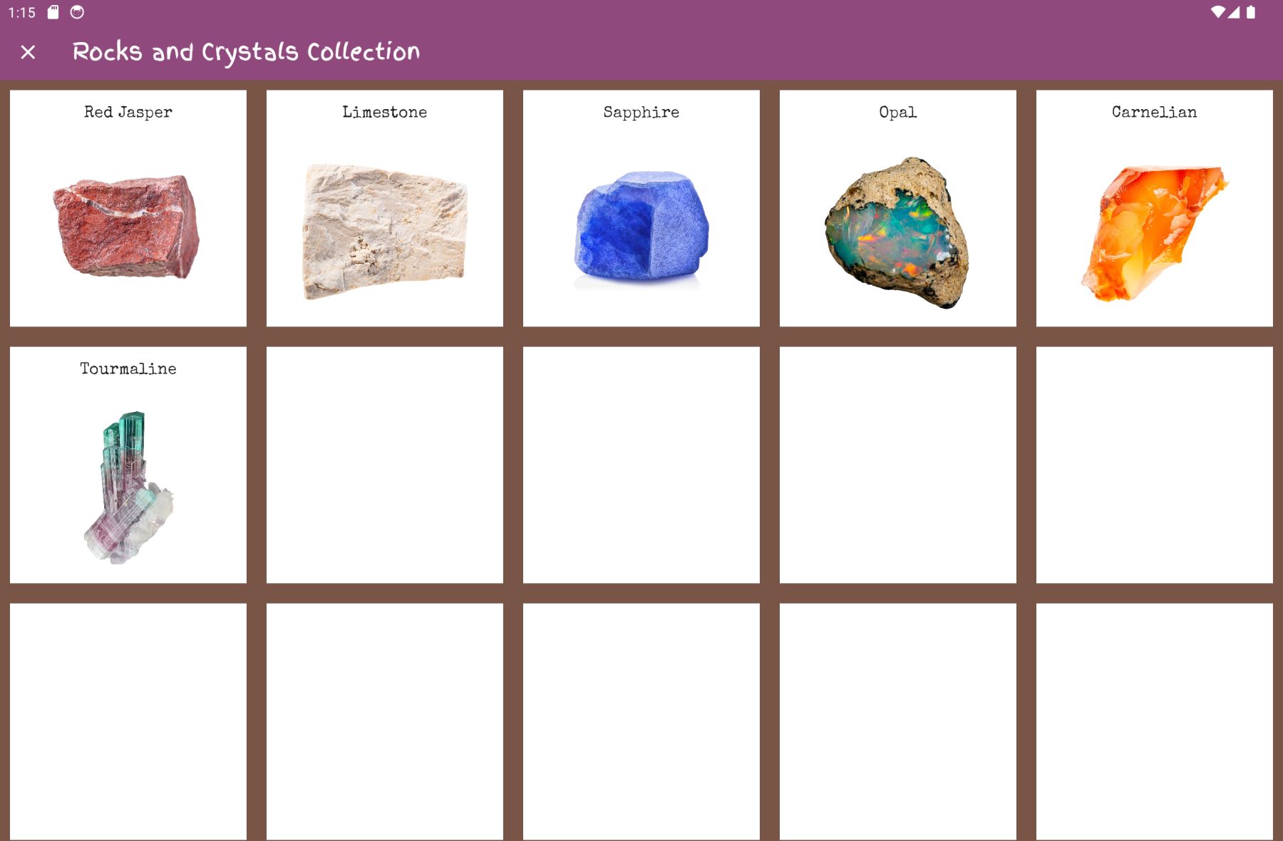 image of rocks and crystals collection screen